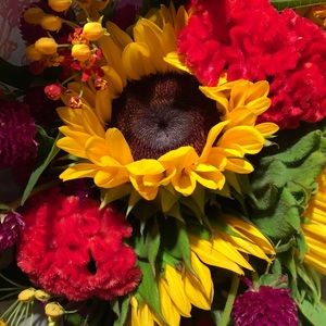 Meet your Posher, Colleen